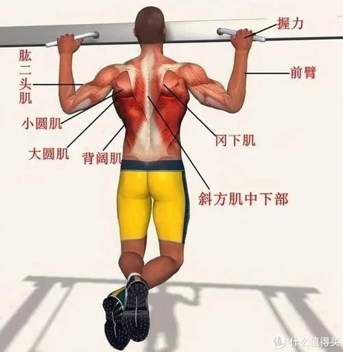 <strong>bat365官网登录入口：网球拍重量增加球速怎么算</strong>